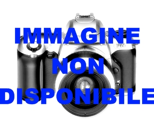 1021640039 - DNP DS620 FLANGIA (LUNGA/SX) 23208760S ^