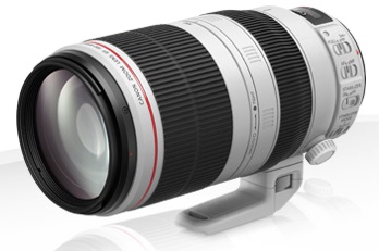 0068296299 - CANON EF 100-400 4.5-5.6 L IS II USM (AIP)