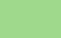 0230030115 - BD FONDALE VERDE SPRING GREEN 174  2,72 X 11mt