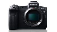 0248290029 - CANON EOS R BODY  (AIP 1)