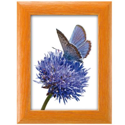 0410730028 - FAR CORNICE JULIAN 107 ARANCIO 20X30  CRILEX