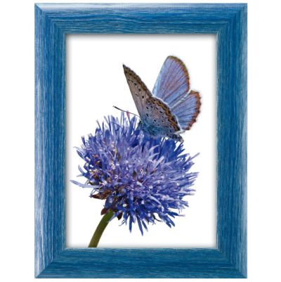0410730032 - FAR CORNICE JULIAN 112 BLU 30X40 CRILEX