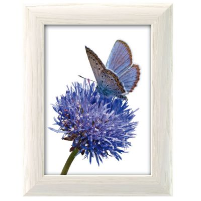 0410730125 - FAR CORNICE JULIAN 102 BIANCO 15X20 CRILEX DA TAVOLO E PARETE