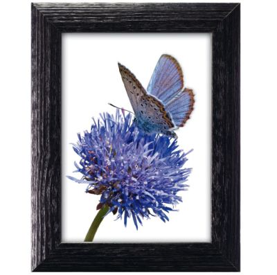 0410730126 - FAR CORNICE JULIAN 101 NERO 15X20 CRILEX DA TAVOLO E PARETE