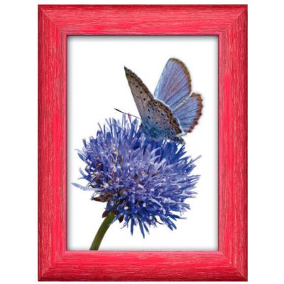 0410730128 - FAR CORNICE JULIAN 176 CILIEGIA 20X30 CRILEX