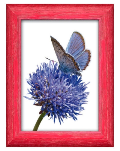 0410730413 - FAR CORNICE JULIAN 176 CILIEGIA 20X25 CRILEX