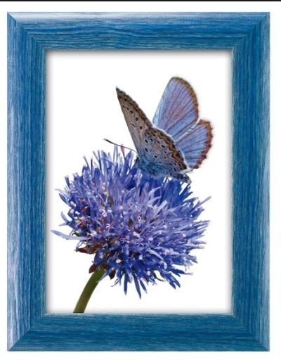 0410730831 - FAR CORNICE JULIAN 112 BLU 50X70 CRILEX