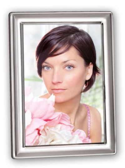 0417710132 - ZEP CORNICE SILVER 235S03-6R 15X20