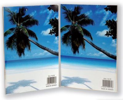 0417710170 - ZEP 730257 CORNICE PLEXI 13X18 DOPPIA
