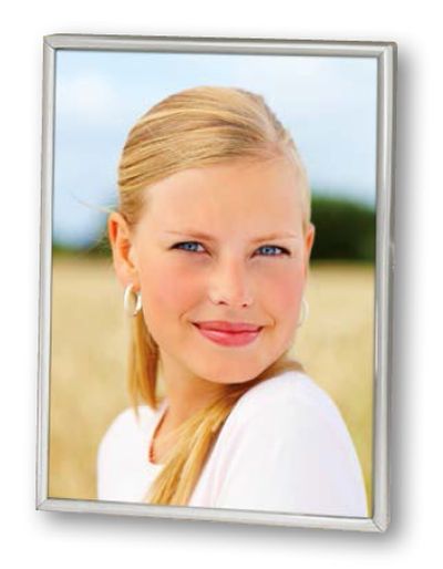 0417710177 - ZEP CORNICE SILVER 120S06-3R 9X13