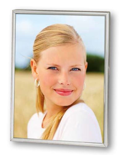 0417710801 - ZEP CORNICE SILVER 120S06-8R 20X25