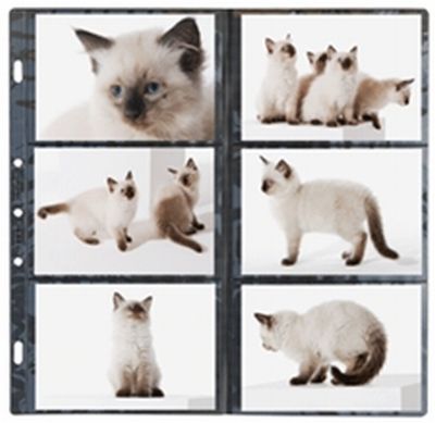 0420810438 - SVAR 25378210 BUSTA PHOTOVISION 10X15/12