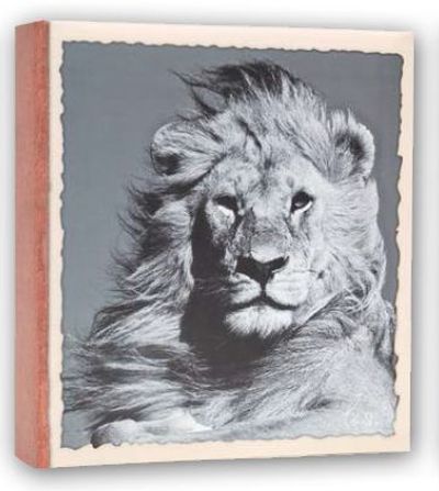0427710224 - ZEP ALBUM TASCA 13X19/200 memoL WILD LIFE WL57200
