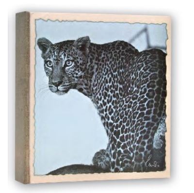 0427710240 - ZEP ALBUM TASCA 13X19 100 memoL WILD LIFE WL57100