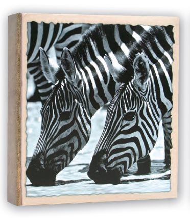 0427710241 - ZEP ALBUM TASCA 11X16/200 memoL WILD LIFE WL46200