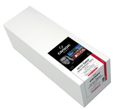 0610120001 - CANSON PLATINE FIBRE RAG 310gr A2 25F 6211039