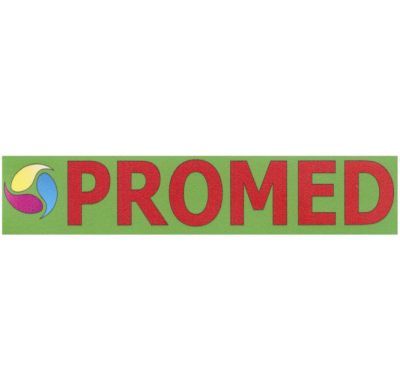 0615800007 - PROMED CARTA DRY 30,5 X 100 GLOSSY 2 BOBINE ^