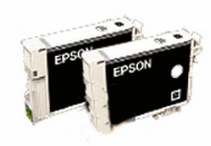 0622121176 - EPSON T0870 GLOSS OPTIMIZER TWIN  FENICOTTERO